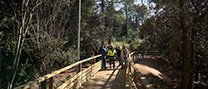 Finalitza la segona fase d’arranjament del camí que permet connectar el nucli urbà i Sant Feliu del Racó a peu i en bicicleta